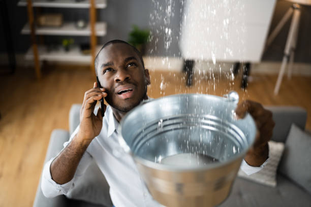 Best Water damage restoration mold remediation  in Hamshire, TX
