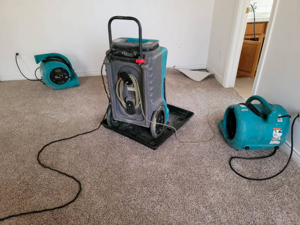 Best Water damage restoration process  in Hamshire, TX