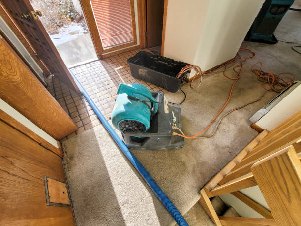 Professional Water damage restoration in Hamshire, TX