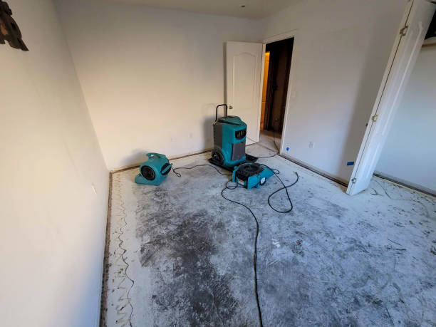 Best Commercial water damage restoration  in Hamshire, TX