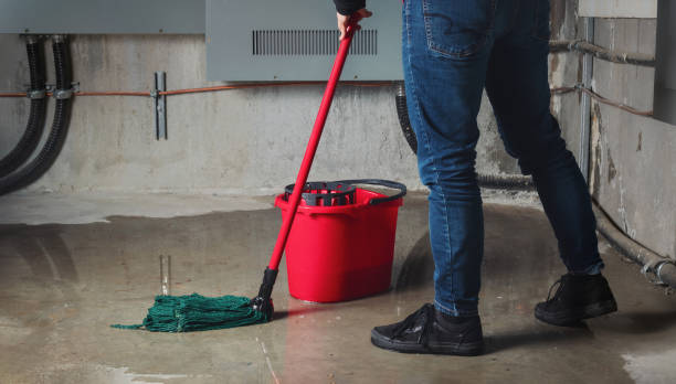 Water damage restoration mold remediation in Hamshire, TX