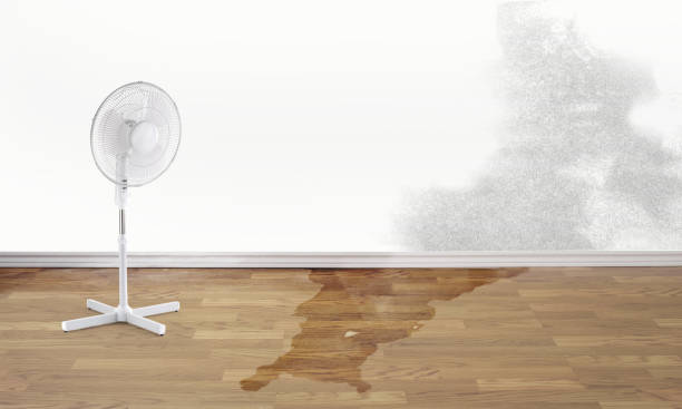 Local water damage restoration in Hamshire, TX