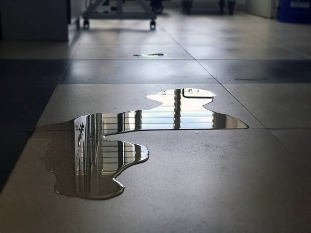 Best Water damage restoration services  in Hamshire, TX