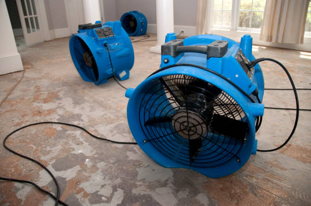 Best Fire Damage Restoration  in Hamshire, TX