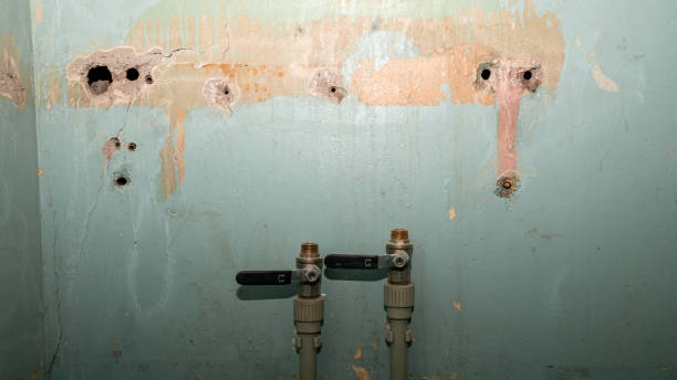 Best Local water damage restoration  in Hamshire, TX