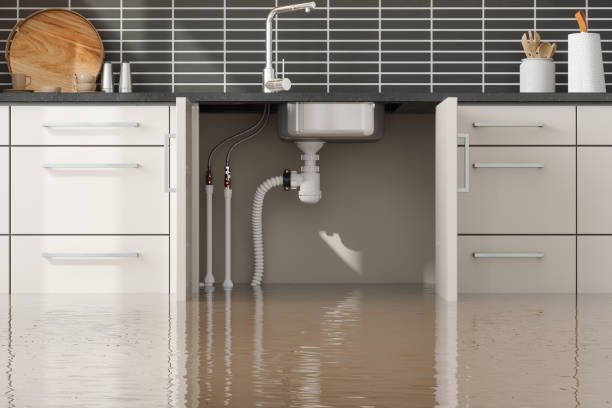 Best Water damage restoration experts  in Hamshire, TX