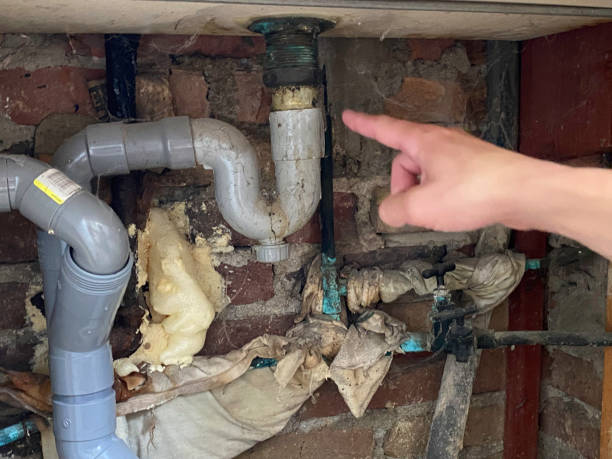 Best Water damage contractors near me  in Hamshire, TX