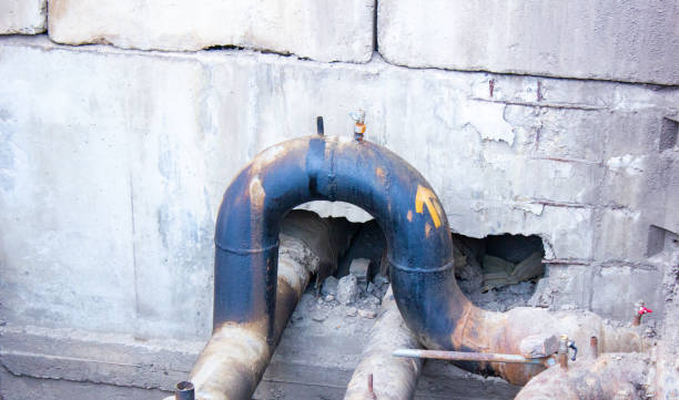 Best Professional water damage repair  in Hamshire, TX