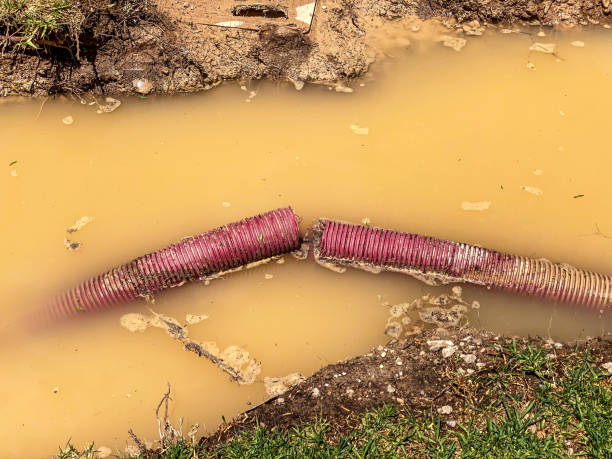 Hamshire, TX Water damage restoration Company