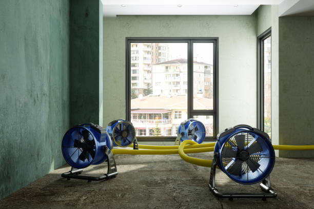 Water damage restoration process in Hamshire, TX