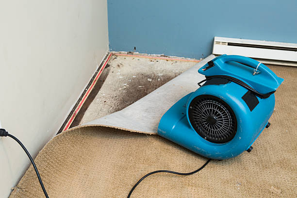 Best Residential water damage restoration  in Hamshire, TX